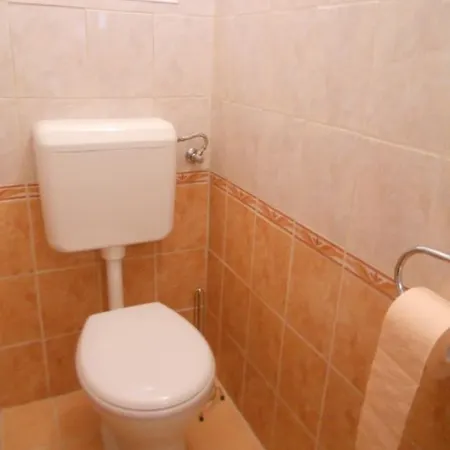 Apartment Balaton 109 *